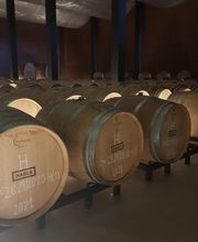 V Sentidos Catas en Extremadura imagen 2