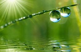 Richard Garcia Aurelia