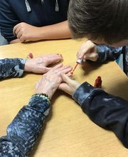 Lycée d'enseignement agricole privé de Bengy image 6