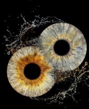 You & Eye Photo Montreux Bild 12