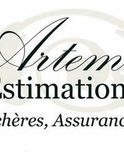 Artémis Estimations Expert Objets d’art Compiègne image 20