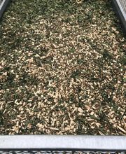 SAM EN CIMES image 12