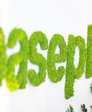 Baseplus DIGITAL MEDIA GmbH Bild 14