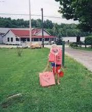 Twin Pines on Trout Lake image 8
