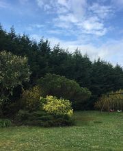 Bordet/Hérault Elagage image 1