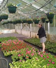 Gros Philippe (Ent) image 7