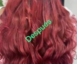extensiones-ale-10.jpg
