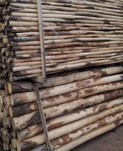 Höfer Naturholz GmbH Bild 8