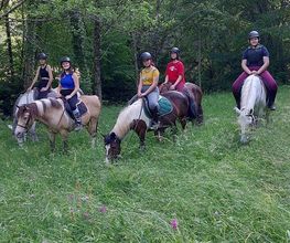 Centre Equestre De La Guérinière image 3