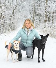 Trust in Dogs - mobile Hundeschule Bild 1