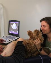 Ridgeview Animal Hospital image 2