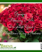 O'Brien's Farm Hill Florist & Garden Center image 2