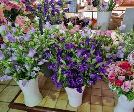 Les Serres et Fleurs de Majolan image 12
