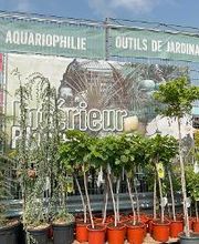 Jardinerie HORNBACH Riddes Bild 3