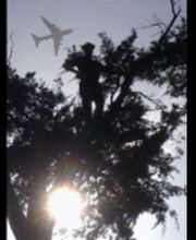 Arbor Ouest image 8