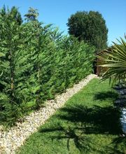 Sign'Nature Jardin image 20