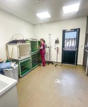 ClinicVet Vétérinaire Beaumont-le-Roger image 7