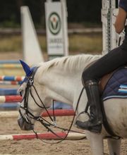 Ecurie des Vieilles Ventes image 2