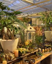 Sommerer & Co Bild 5