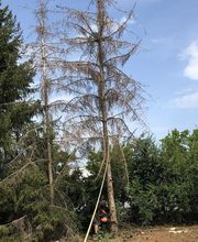 JARDINS ET PAYSAGES D AUVERGNE image 1