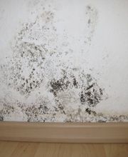 Lugon Assèchement Sàrl Bild 2