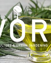 IVORY Stuttgart Bild 10