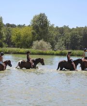 Les Poneys de Monthoiron image 3