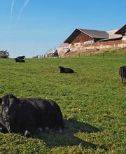 Gemeinde Welschenrohr-Gänsbrunnen Bild 2