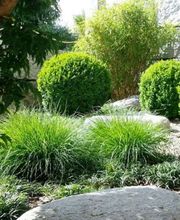 VITA VERDE AG Bild 3