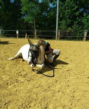 Les Poneys de Monthoiron image 15