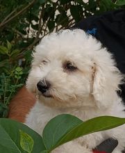 Manusset Sylvie image 1