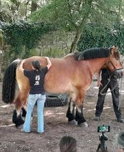 Breaud Magali image 7