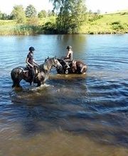 Centre Hippique la Jumenterie image 4