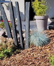 AFM Clospeed image 7