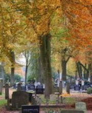 Begrafenisvereniging Rolde en omstreken