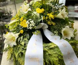Hubein Diana Bild 8