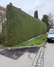 AMS Dienstleistungen Bild 13