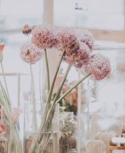 Rieder Fleurs Bild 11