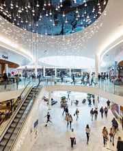 La Toison d'Or image 1