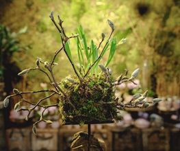 ART NATURAL stucki Bild 14