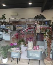 Sara Fiori immagine 6