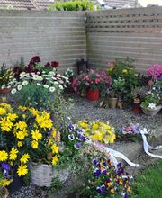 M&M Gartenbau AG Bild 8