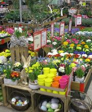 HELLWEG - Die Profi-Baumärkte Deulowitz Bild 17