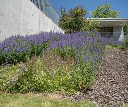 Emmenegger Garten- Tiefbau AG Bild 8