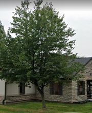 The Pet Wellness Group: Florence image 12