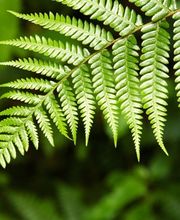 Baumgartner Ursula Liliane Bild 4