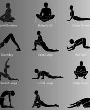 Personal Trainer Balmelli Douglas (SkilsPro) Bild 1