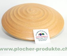 Plocher Schweiz GESUNDLEBEN DBB Othmar Hoesli-Falk Bild 7