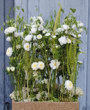 Rutishauser Gartenbau GmbH Bild 9