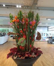 Blumen Diener Bild 3